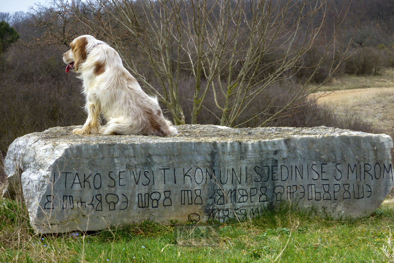 badavca_03_stein_hund