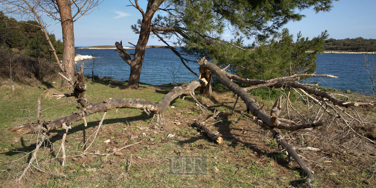 kamenjak_242_bucht_portic