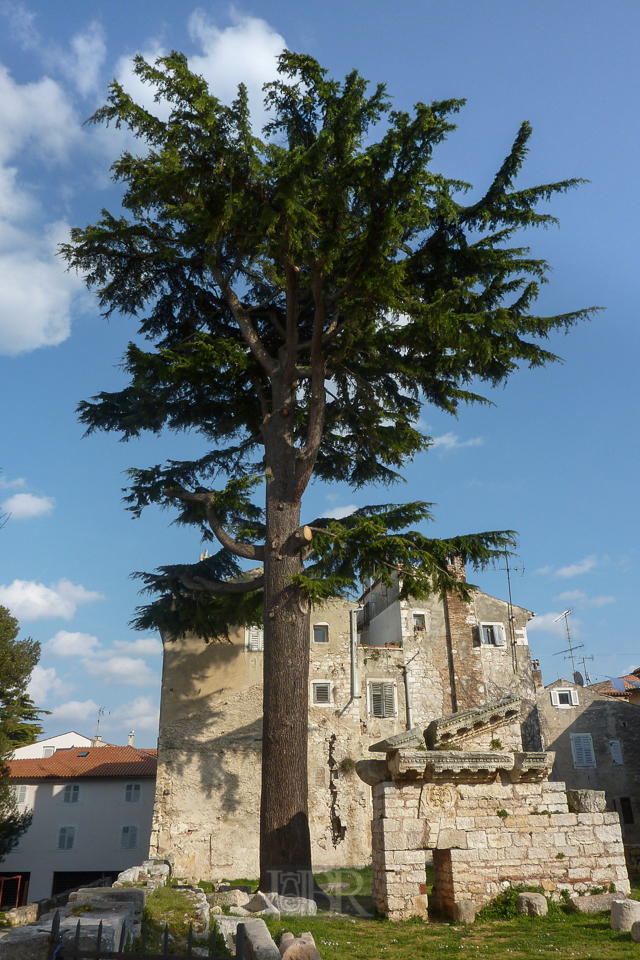 porec_ruinen_01