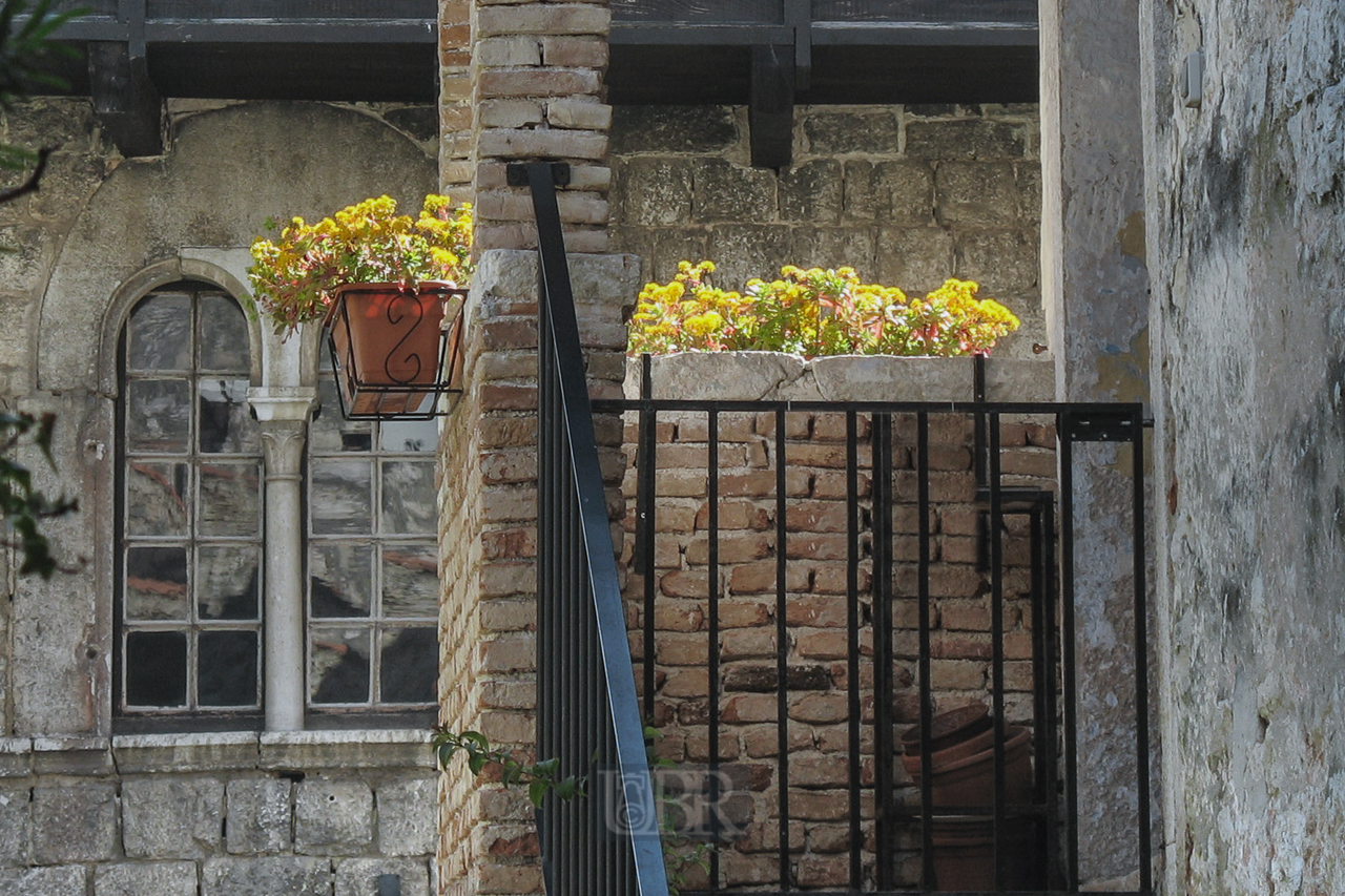 porec_treppe_geranien