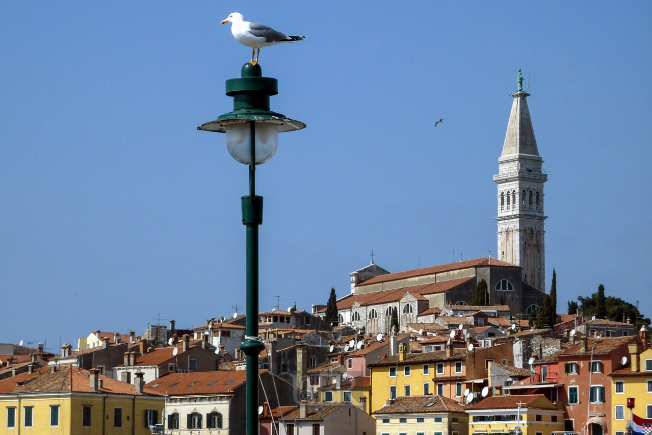 rovinj_moewe_laterne