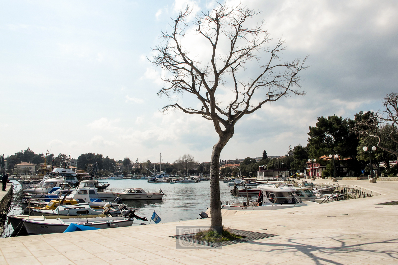 baum_krk_04_hafen