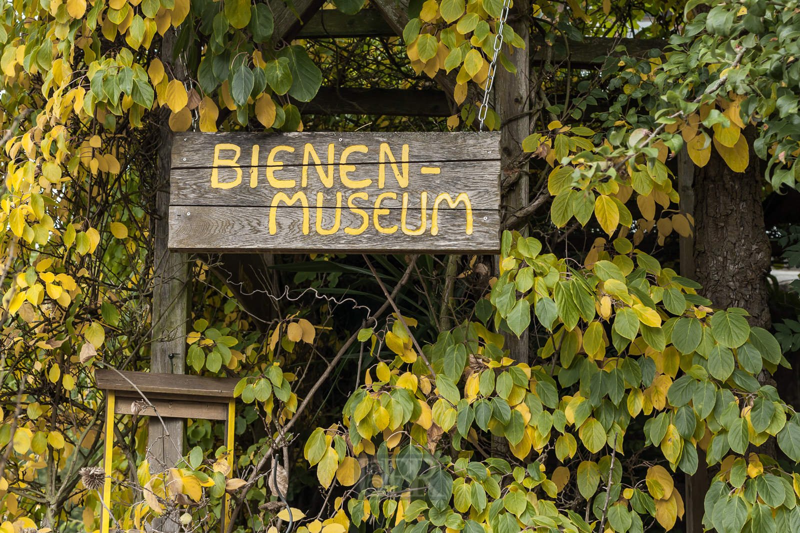 6. Etappe - Bienen sind für uns der 'Knüll'er