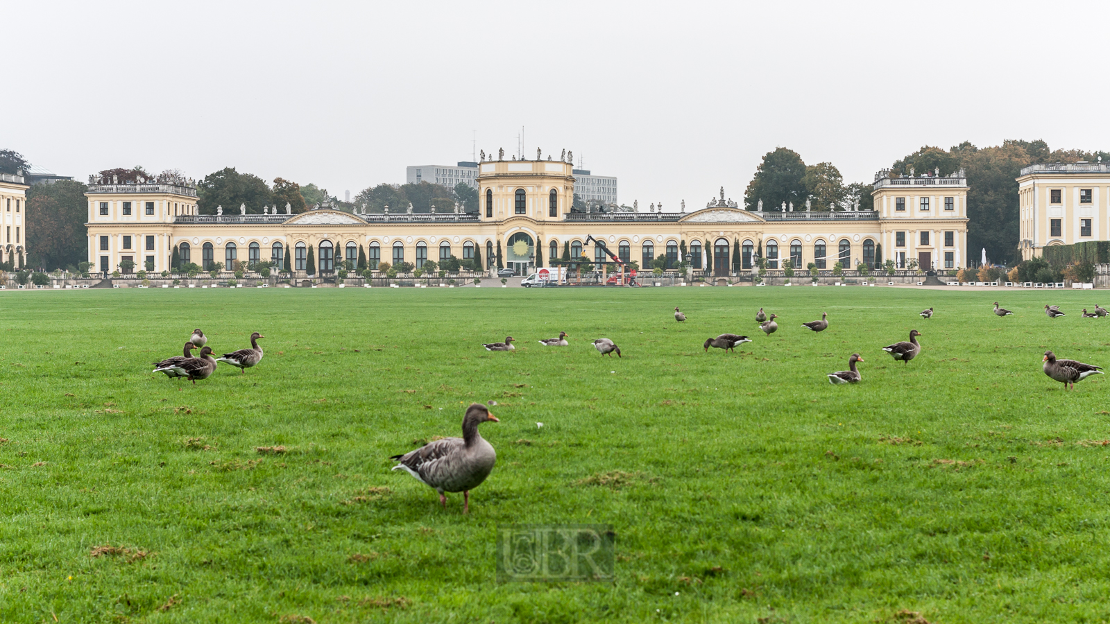 Kassel - Orangerie mit Gänseklein