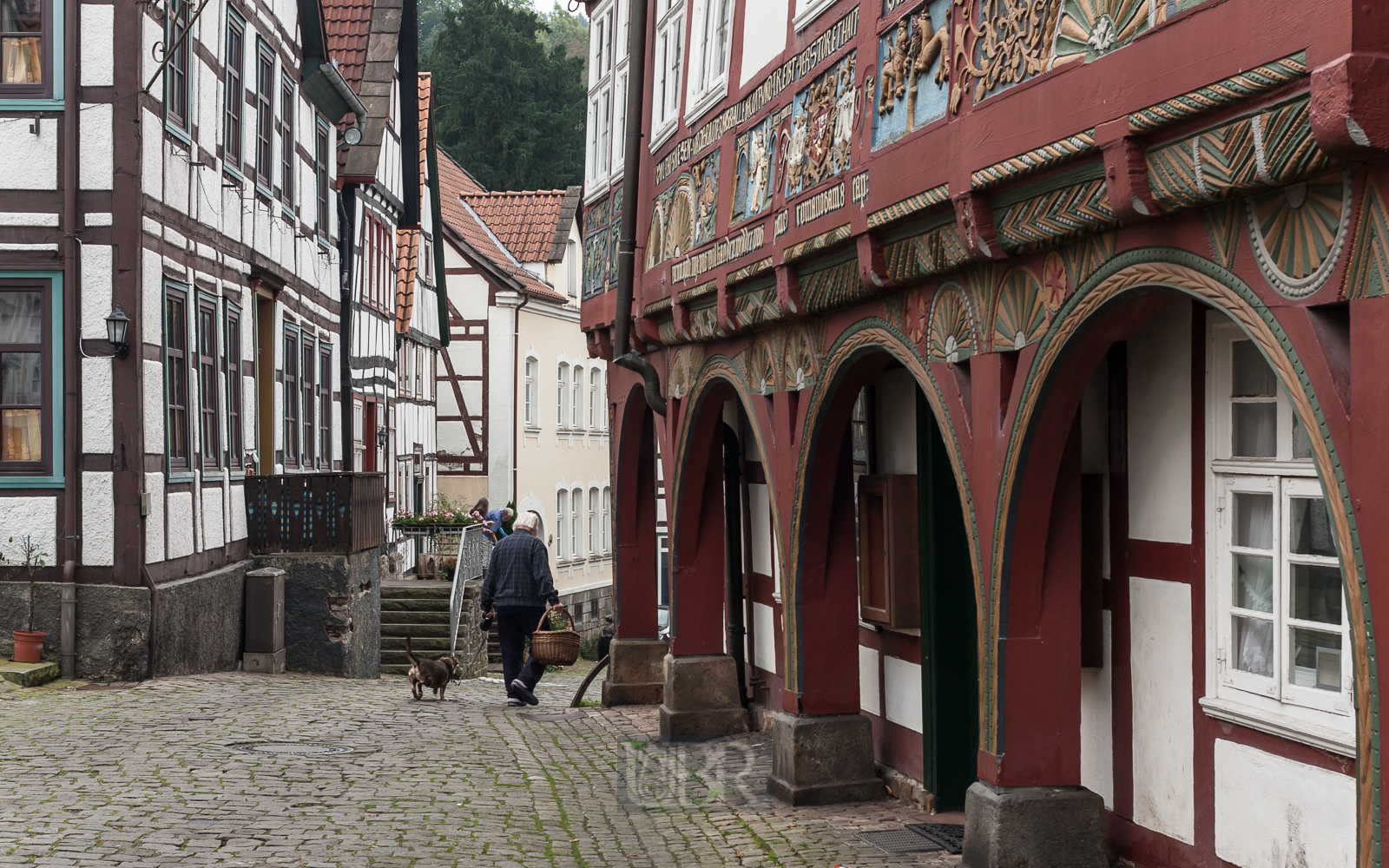 Schwalenberg - noch mehr Fachwerk