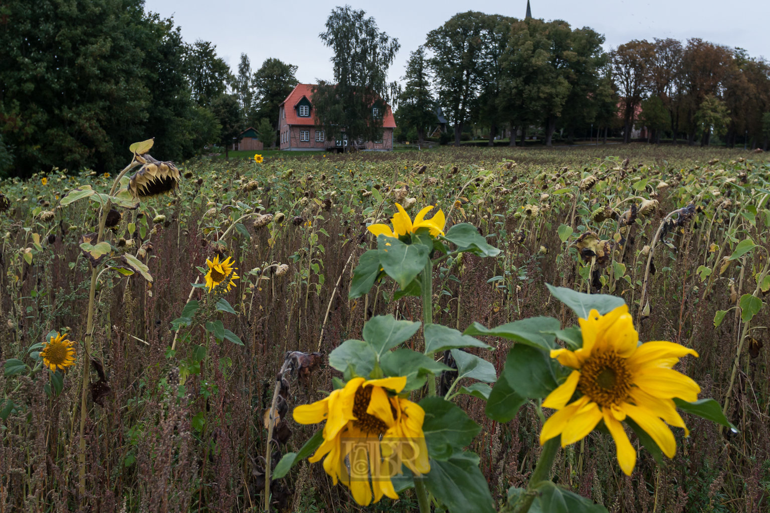 Hotelgarten mit liebvol-verspielten Dateils