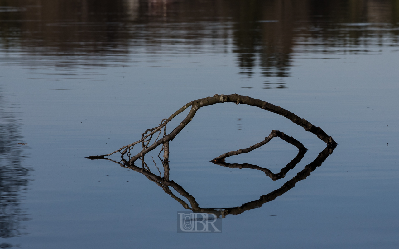 hammersee_2021_01