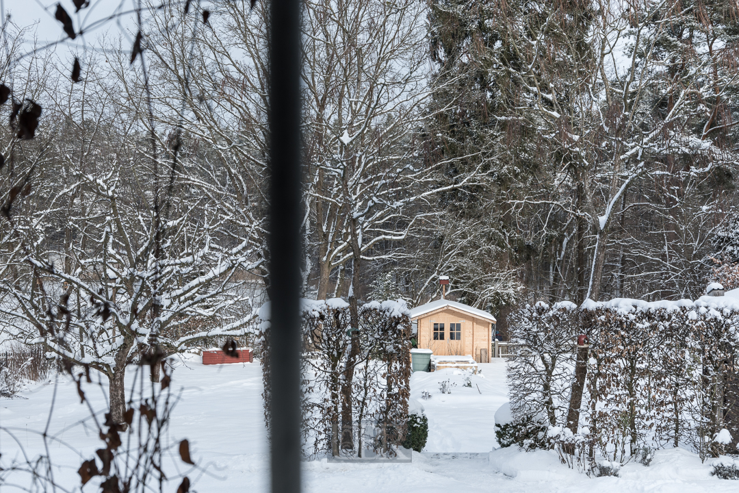 Eingeschneit im Oberpfälzer Wald