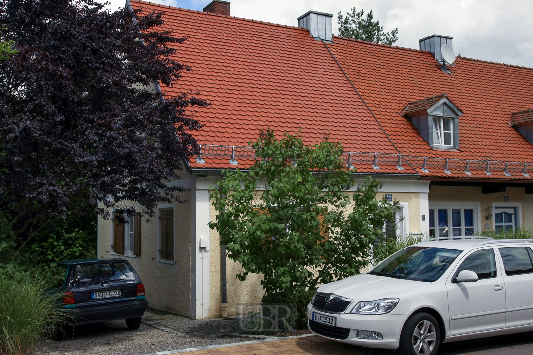 Flieder und Pflaumenkirsche spenden Schatten - 2012