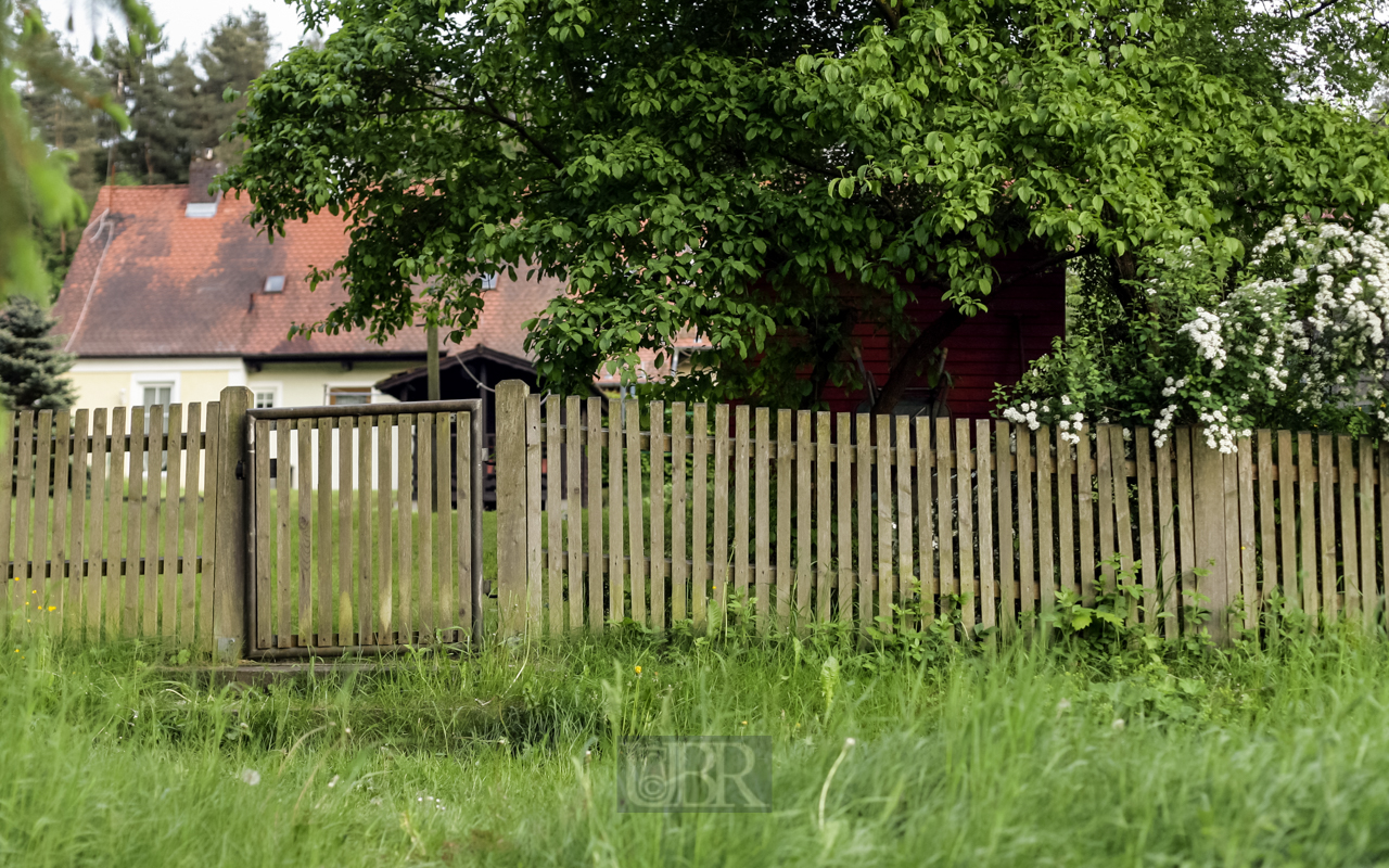 Gartenzaun vom See aus gesehen - 2013