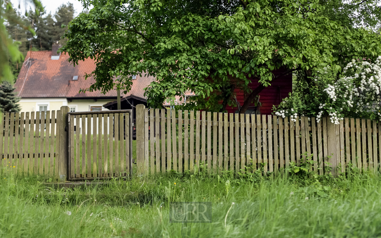 Gartenzaun vom See aus gesehen - 2013