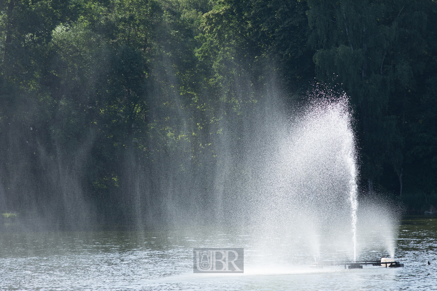 Fontaine wie am Genfer See