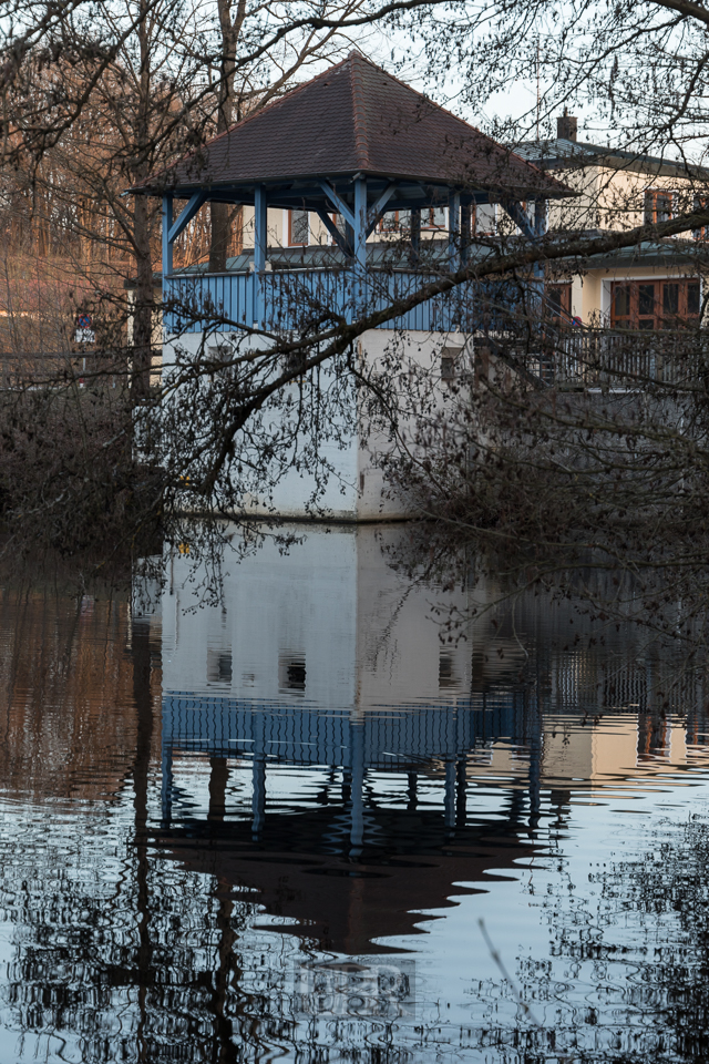 Ausguck aufs Wasser und auf die Karpfen