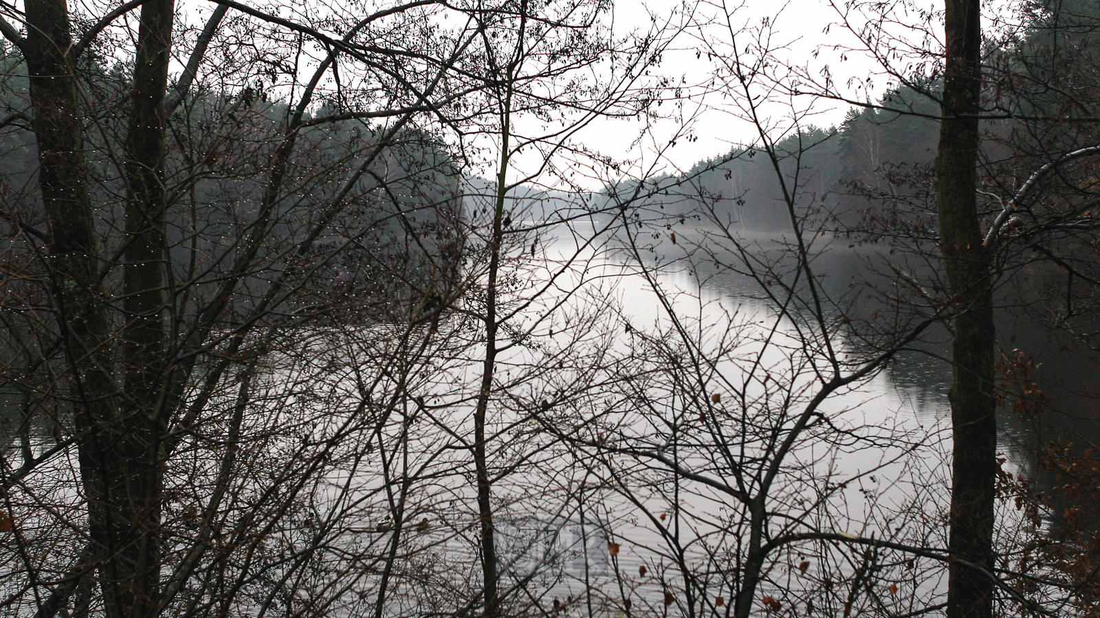 Stimmungen am Morgen