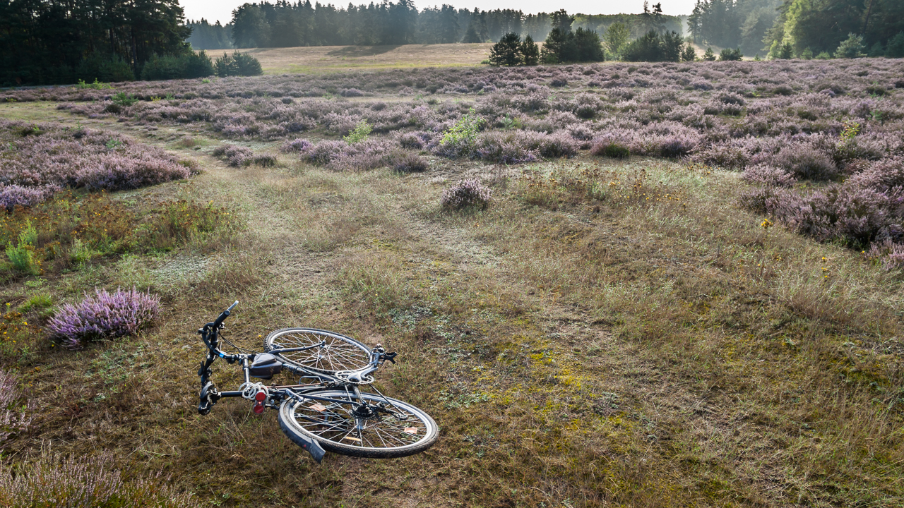 heide_landschaft_august_04