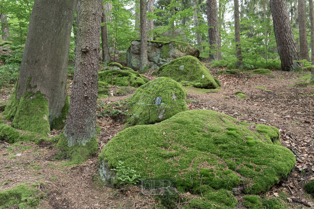 Steine und Bäume als Grabstellen benutzt oder reserviert