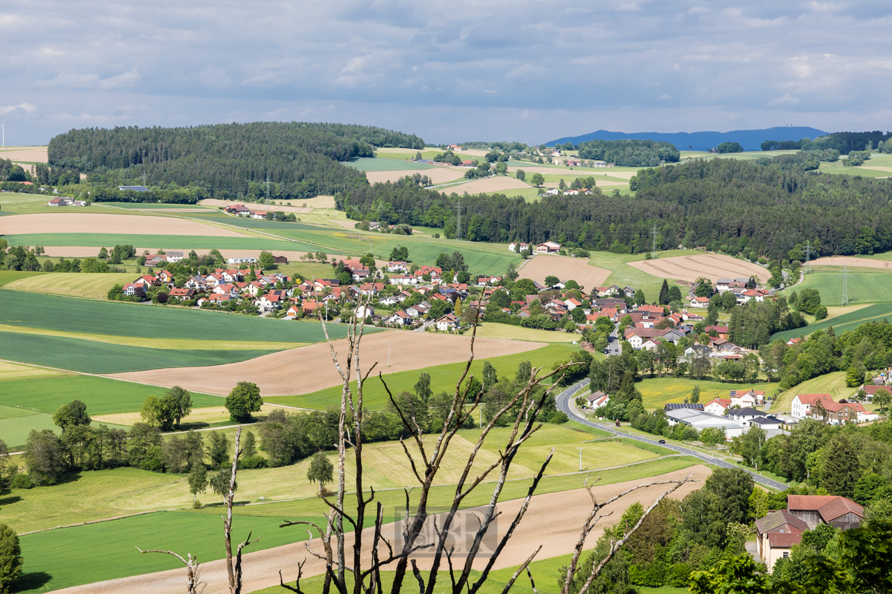 falkenstein_burgblick