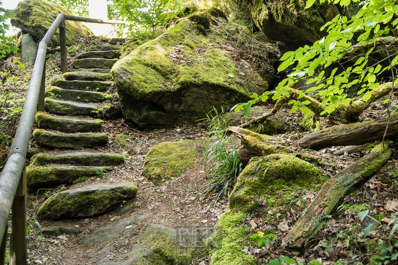 falkenstein_felsenpark_2025_1