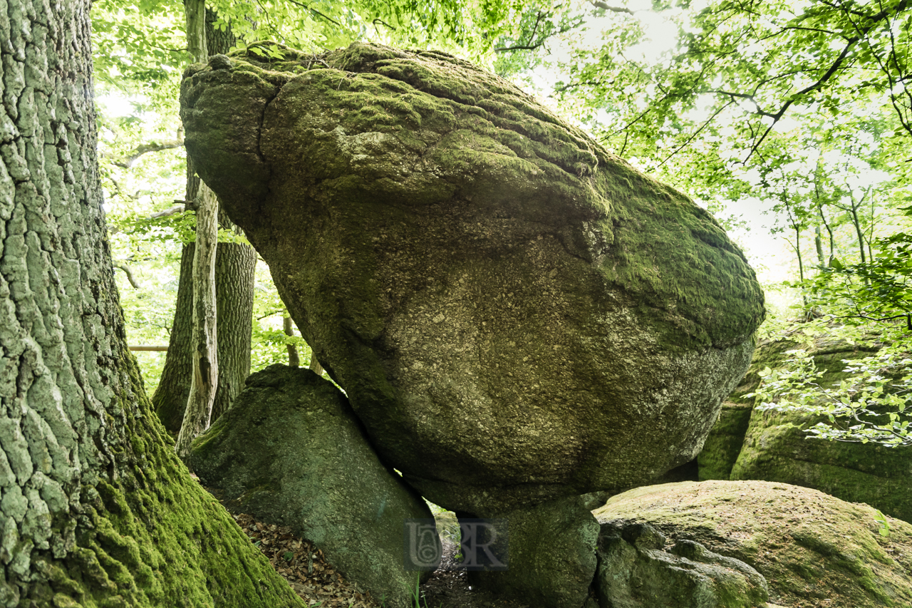 falkenstein_felsenpark_2025_11
