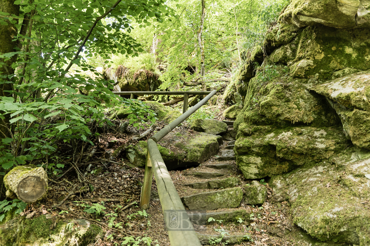 falkenstein_felsenpark_2025_2