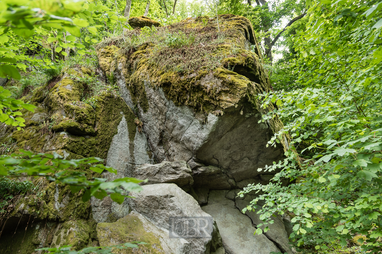 falkenstein_felsenpark_2025_3