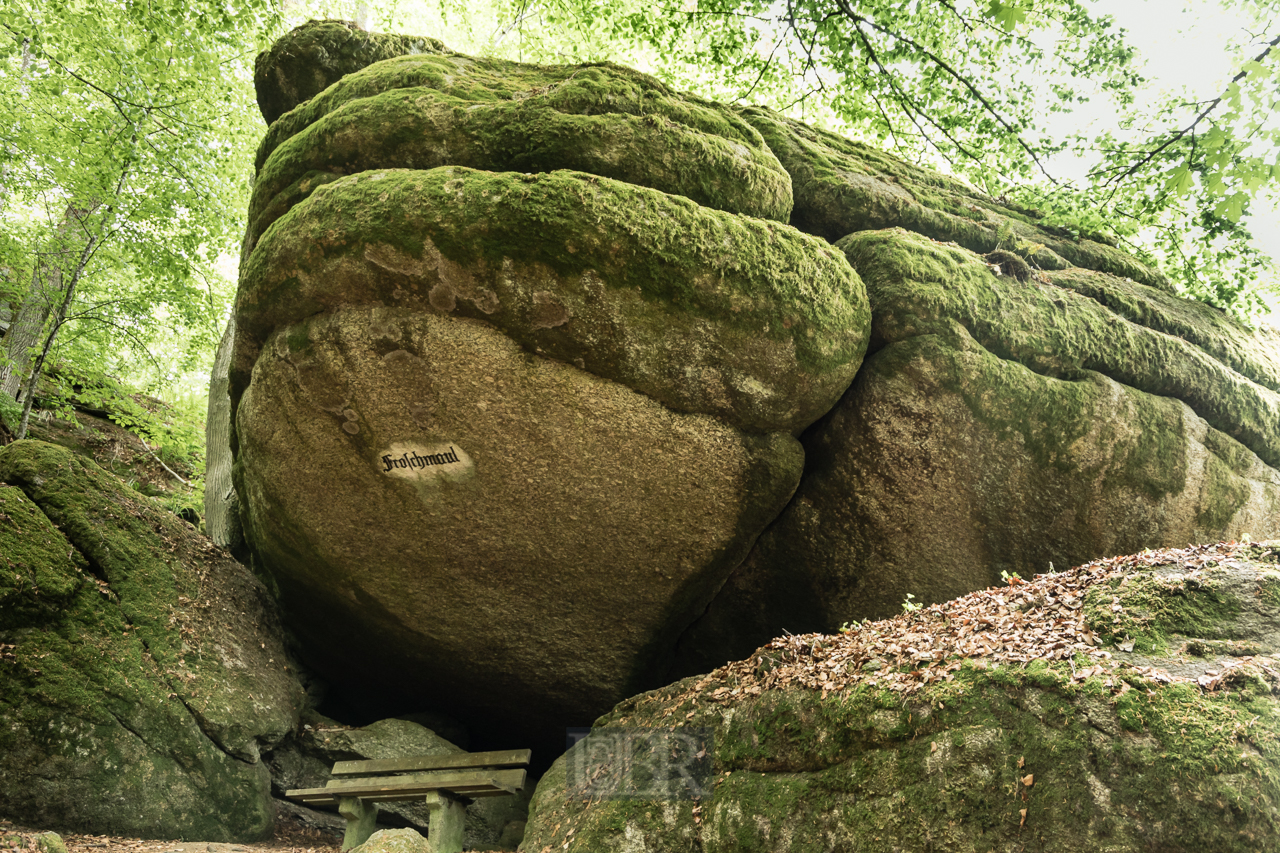 falkenstein_felsenpark_2025_5