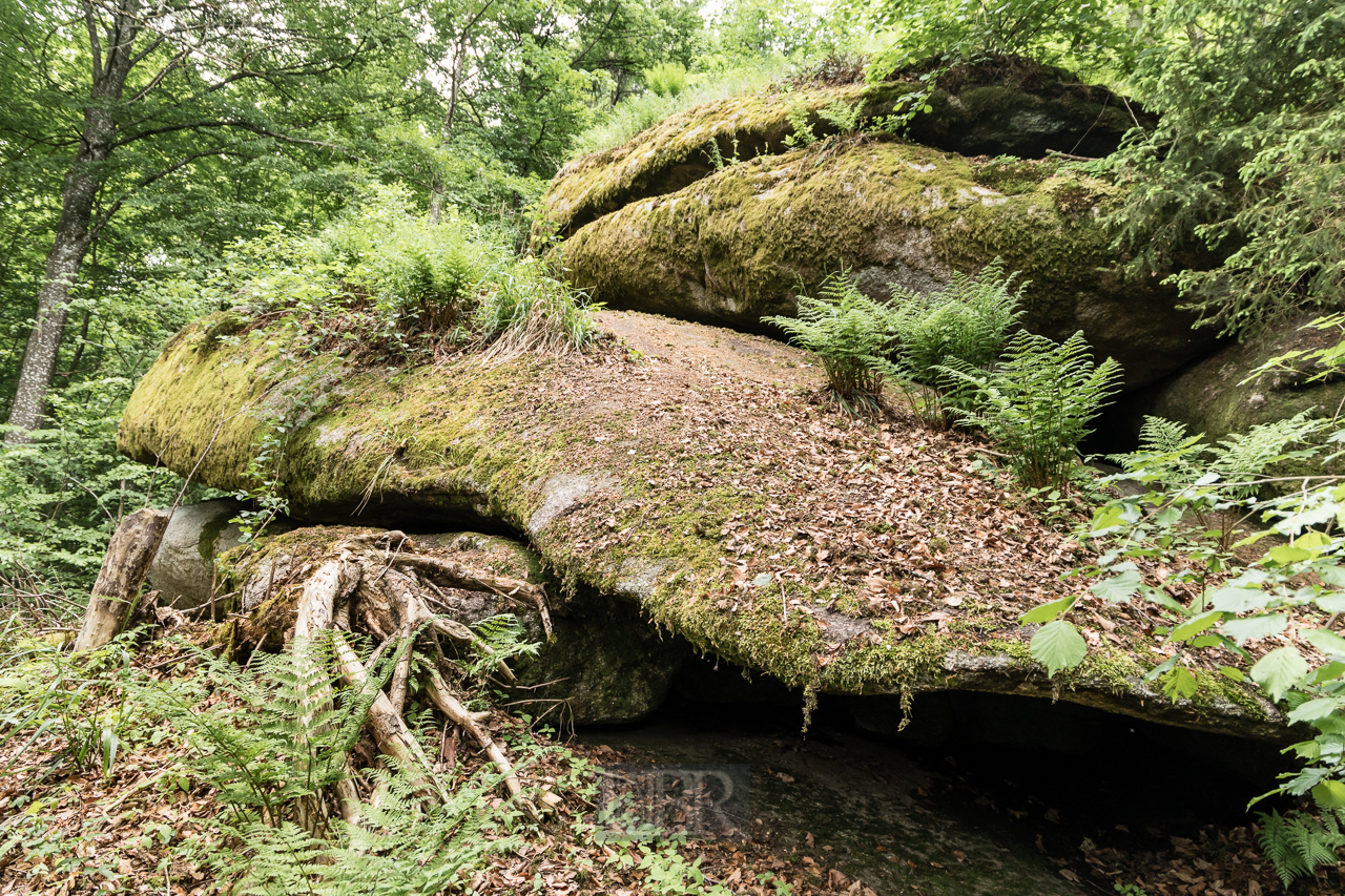 falkenstein_felsenpark_2025_6