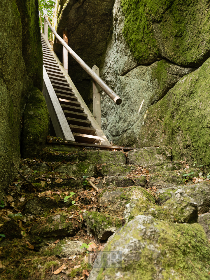 falkenstein_felsenpark_2025_7