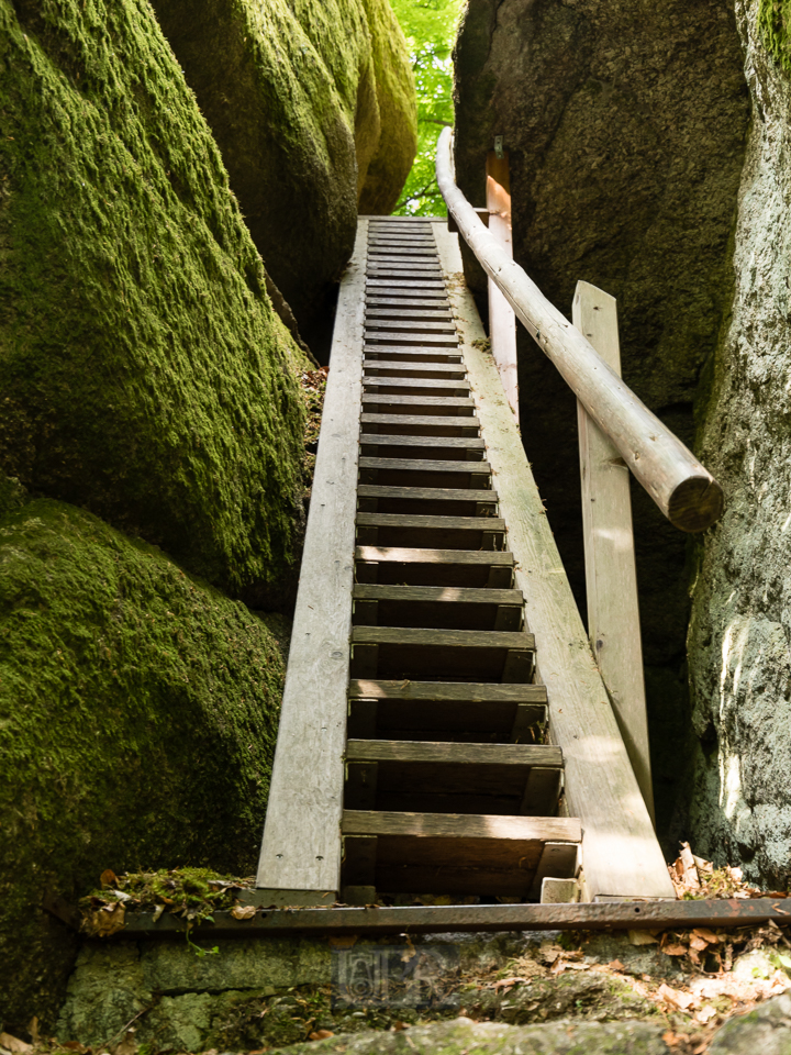 falkenstein_felsenpark_2025_8