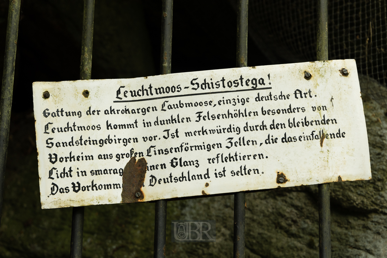 falkenstein_park_2025_3
