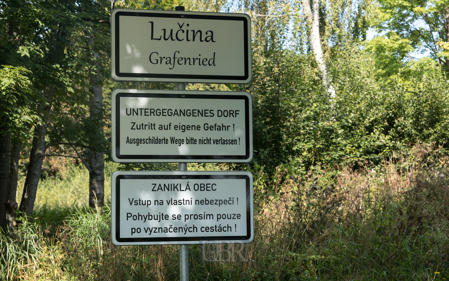 grafenried_lucina_1