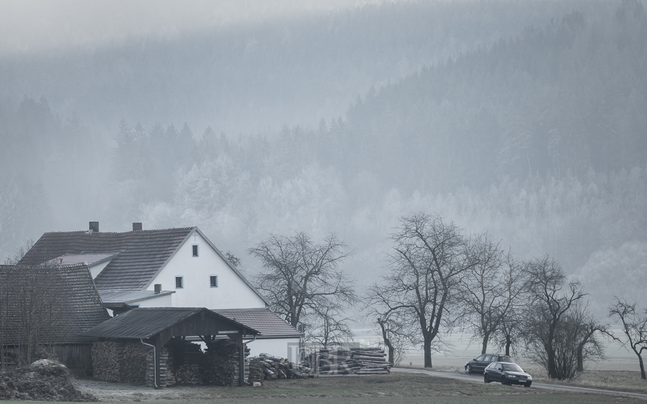 Im Regental bei Nittenau