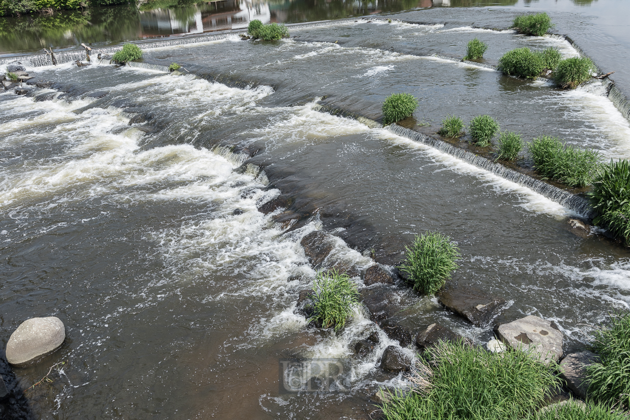 Der Fluß Regen durchquert Nittenau