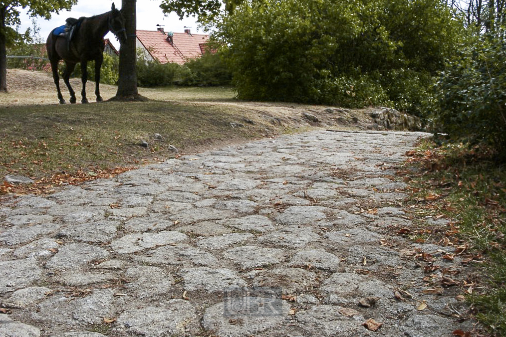 Burg Leuchtenberg bei Leuchtenberg bei Weiden