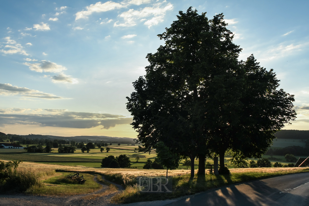 In der Umgebung der Seenplatte bei Wackersdorf