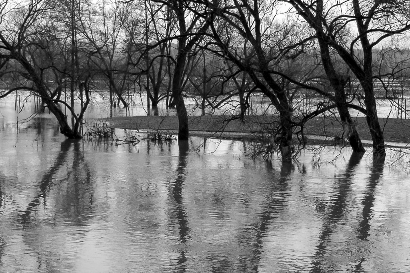 Viel Regen und Hochwasser am Regen