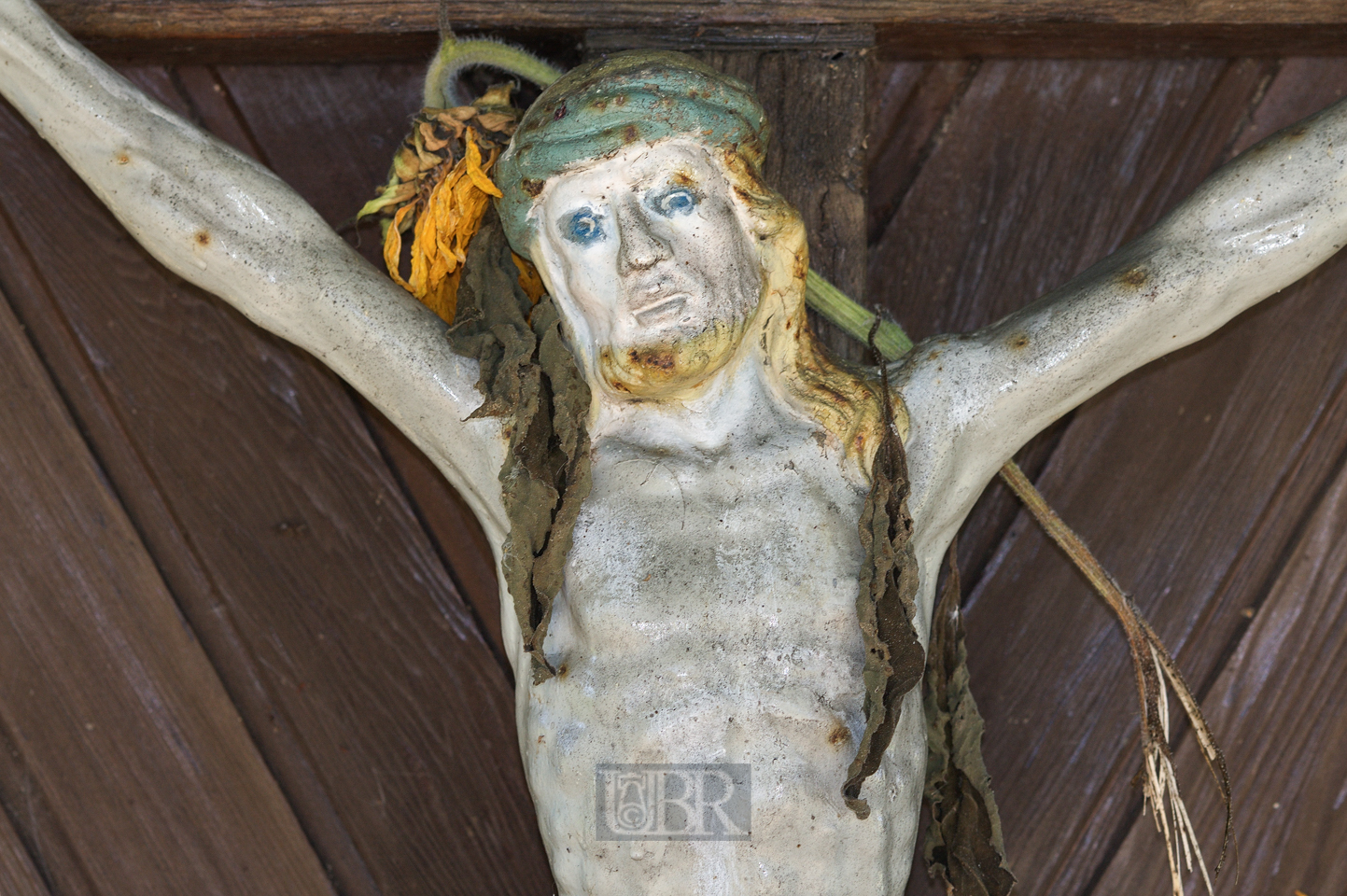 jesus_mit_sonnenblume
