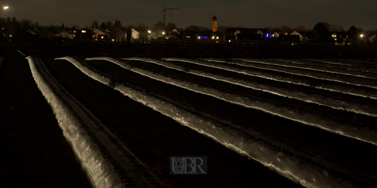 mintraching_feld_nachts_01