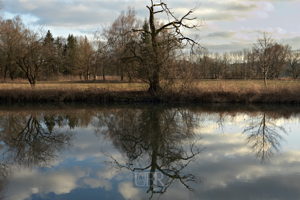 Wasser - Spiegel