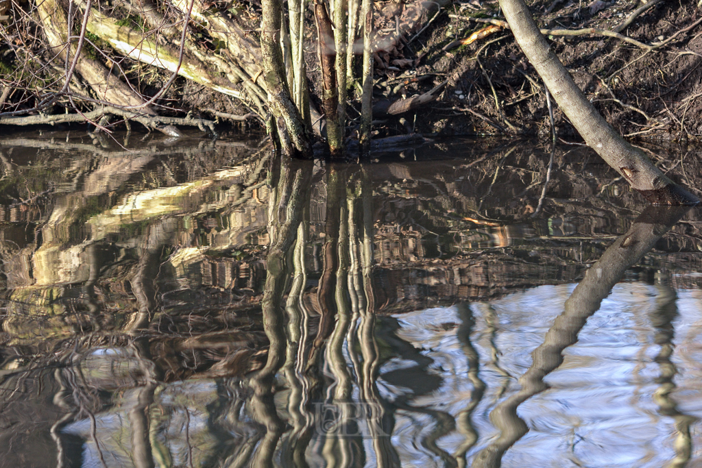 Wasser - Spiegel