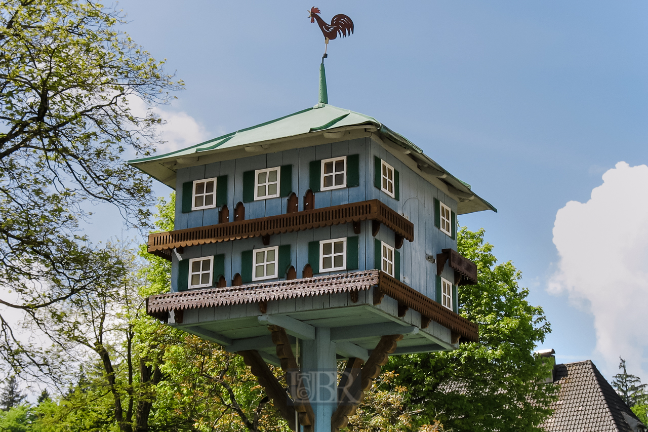 hahn_wetter_29_und_taubenhaus