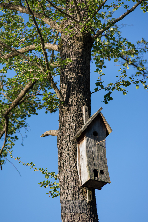 vogelhaus_charlottenhofer_01