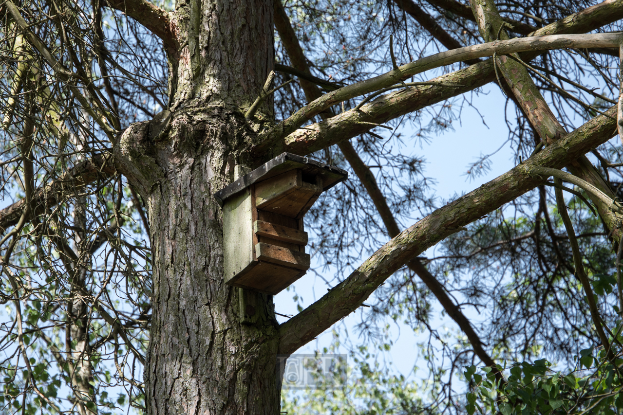 vogelhaus_charlottenhofer_02