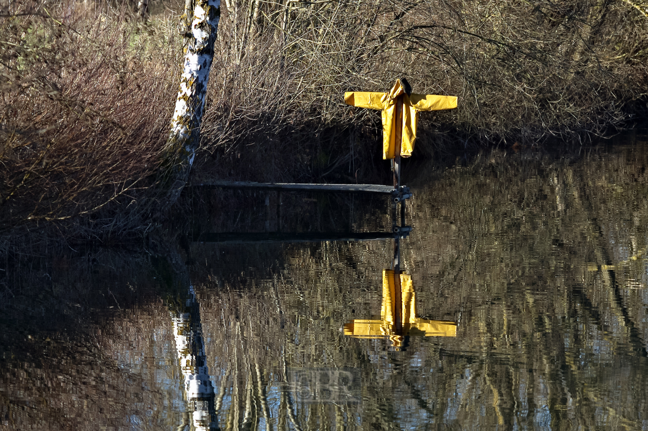 vogelscheuche_23_fischweiher